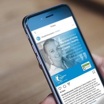 Bluebird homepage item