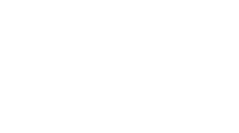 Bluebird-Care