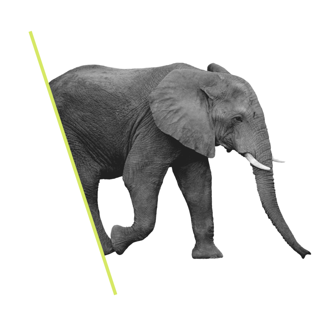 paid search - ppc header - elephant graphic